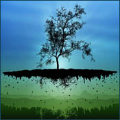 Ok3w.Net -- ���ѡ��