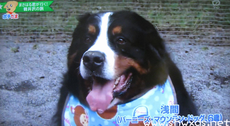 ���Ҵ�ýIP900HD PVR�ձ�����IPTV