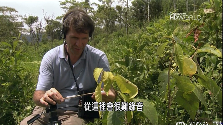 DISH HD��Ŀ��ͼ